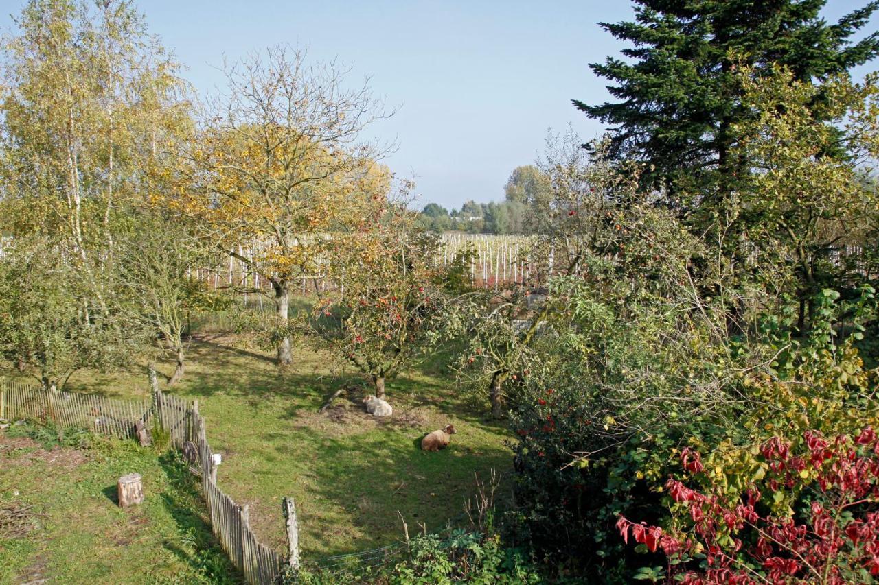 Hof Van Loverrijk Bed and Breakfast Lier Exteriör bild