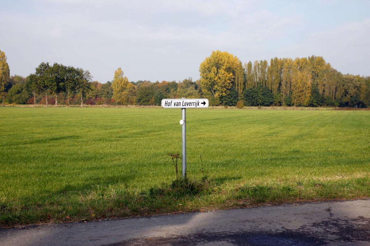 Hof Van Loverrijk Bed and Breakfast Lier Exteriör bild
